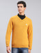 Men Mustard Solid V Neck Full Sleeve Pullover