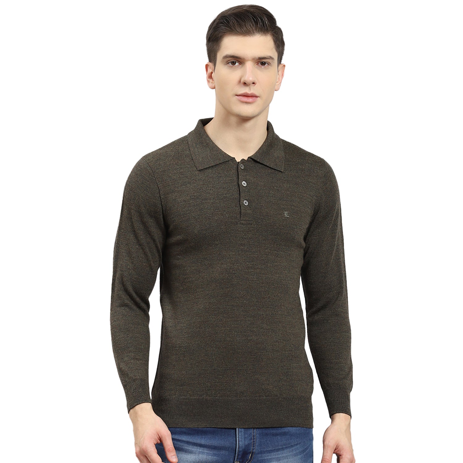 Men Olive Solid Polo Collar Full Sleeve T-Shirt