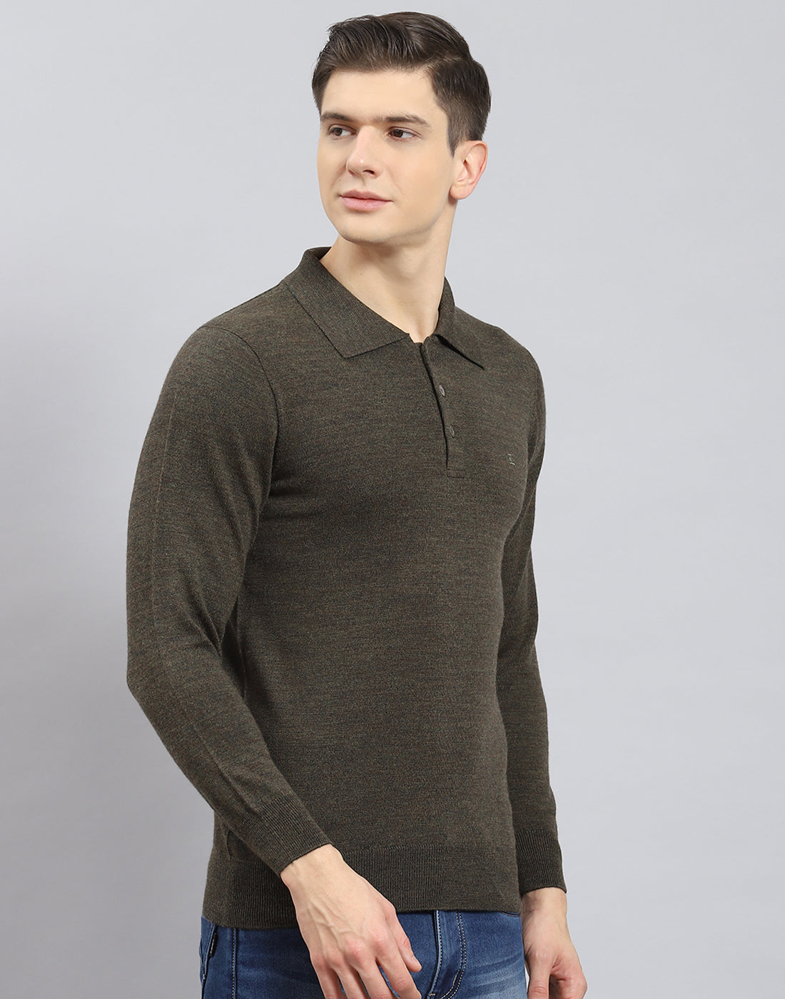 Men Olive Solid Polo Collar Full Sleeve T-Shirt