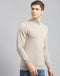 Men Beige Solid T Neck Full Sleeve Pullover