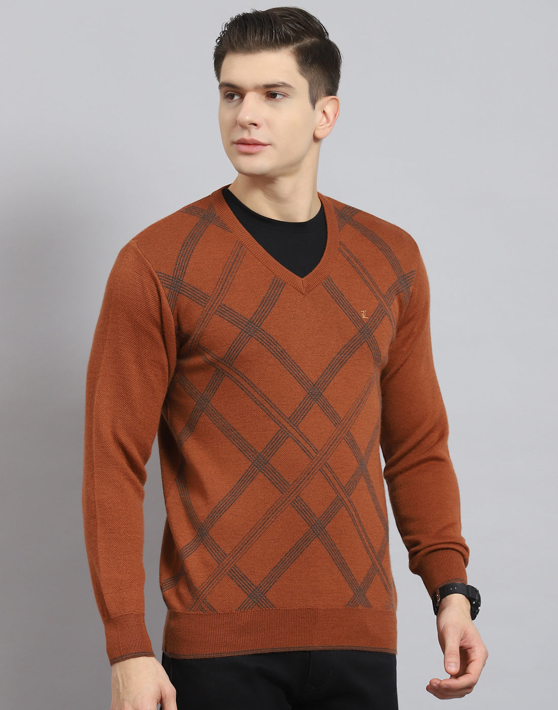 Men Rust Printed V Neck Full Sleeve Sweater