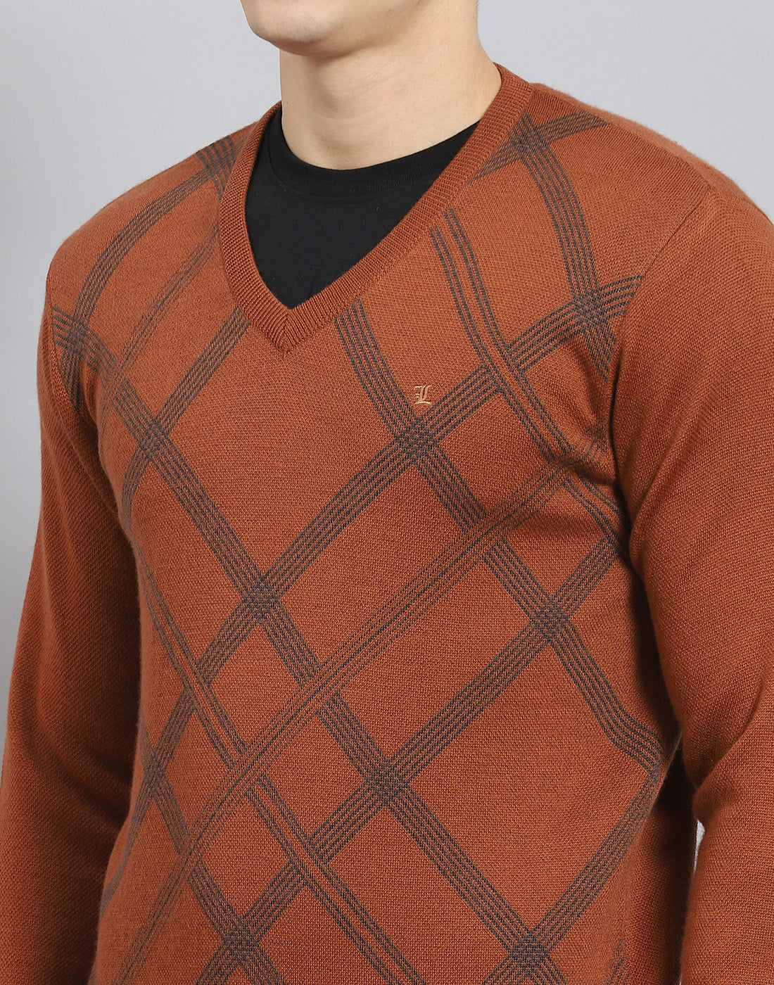 Men Rust Printed V Neck Full Sleeve Sweater