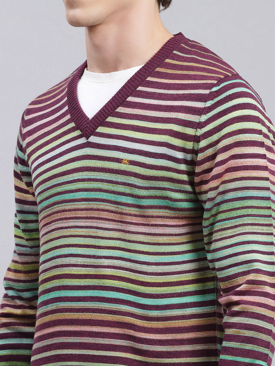 Men Multicolor Stripe Wool blend Pullover