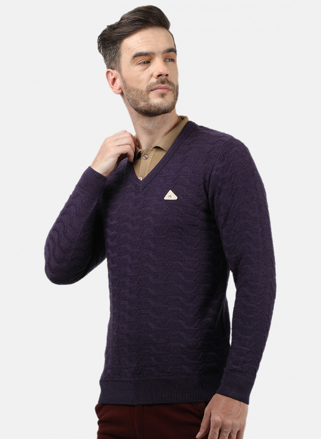 Men Purple Self Pullover