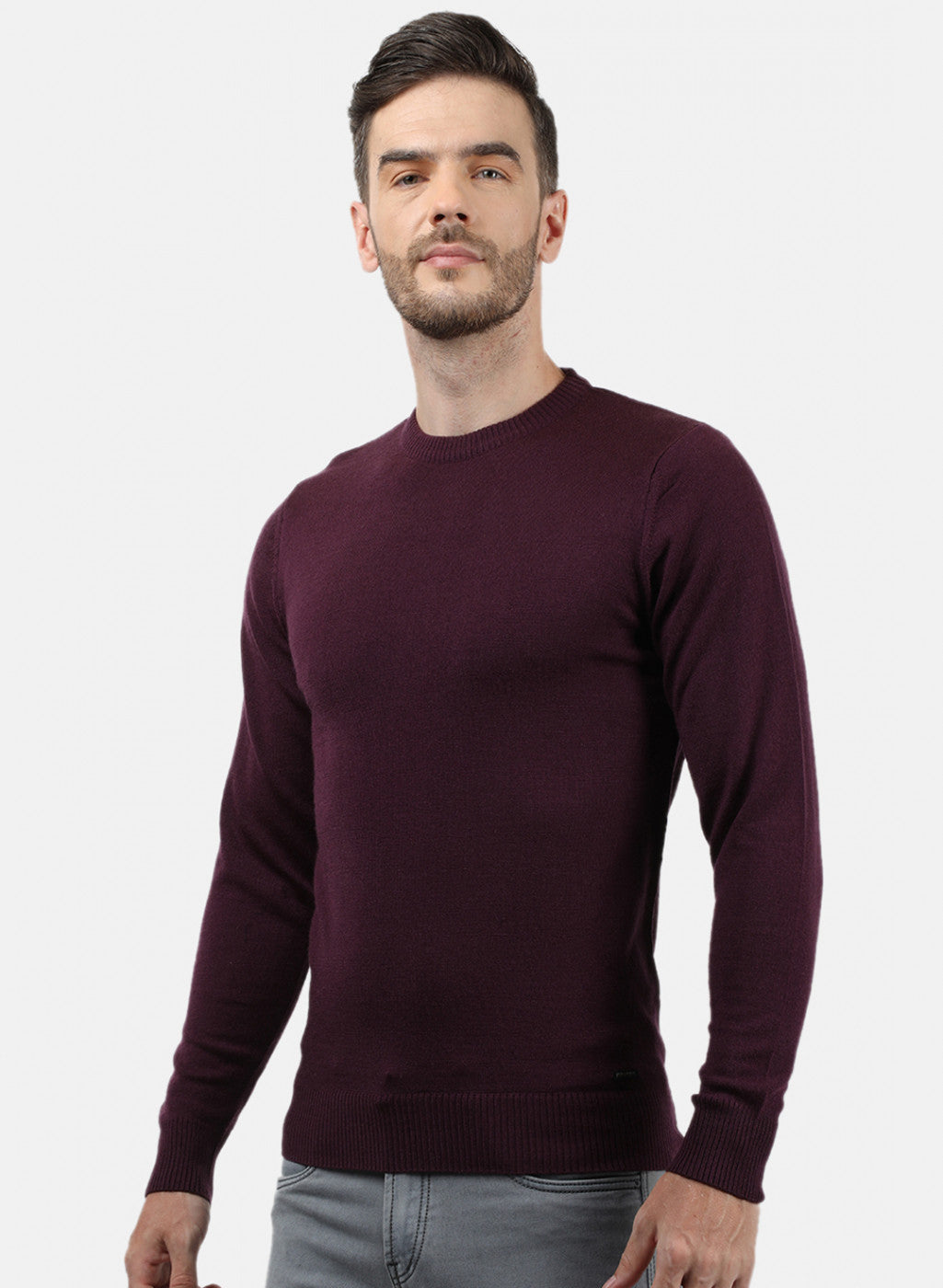 Men Purple Solid Pullover