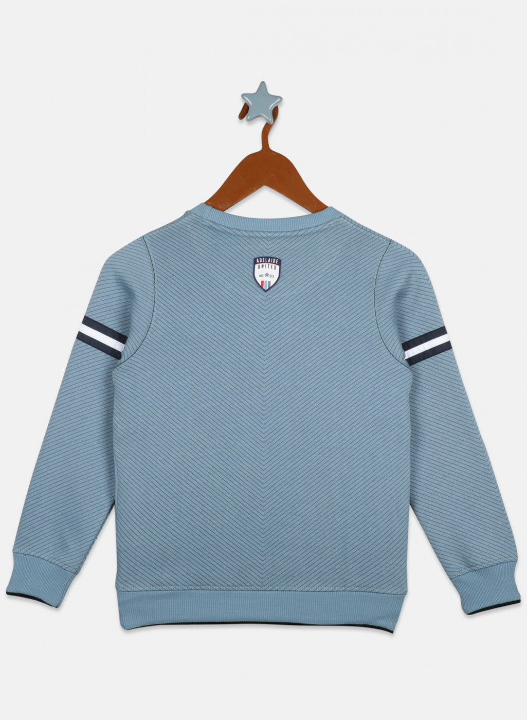 Boys Blue Printed Sweatshirt