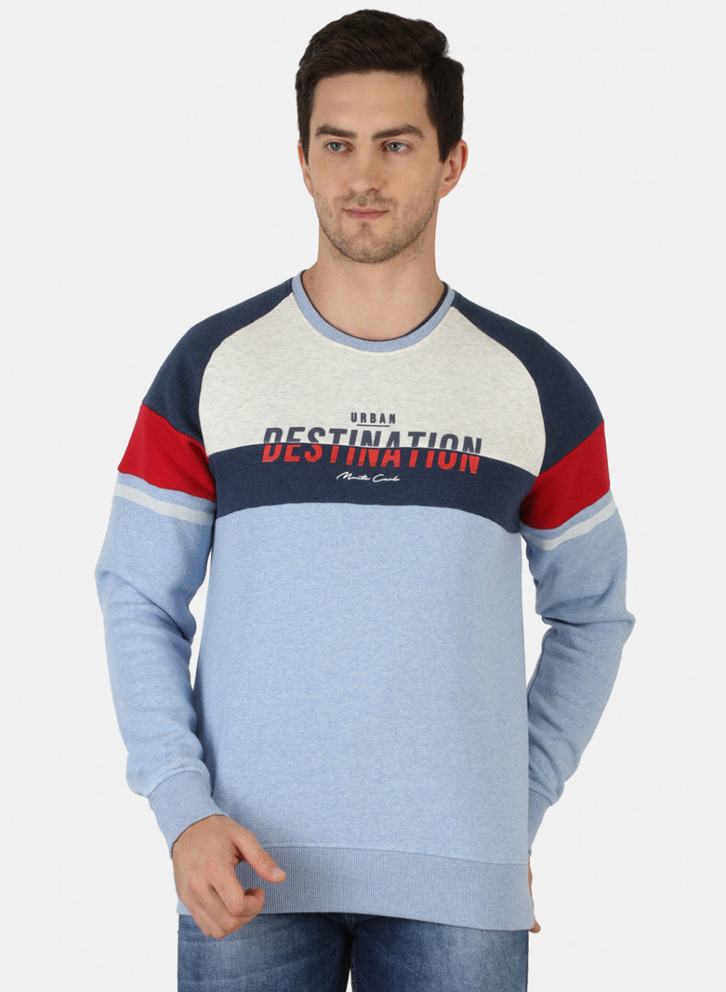 Men Blue Printed Sweatshirt