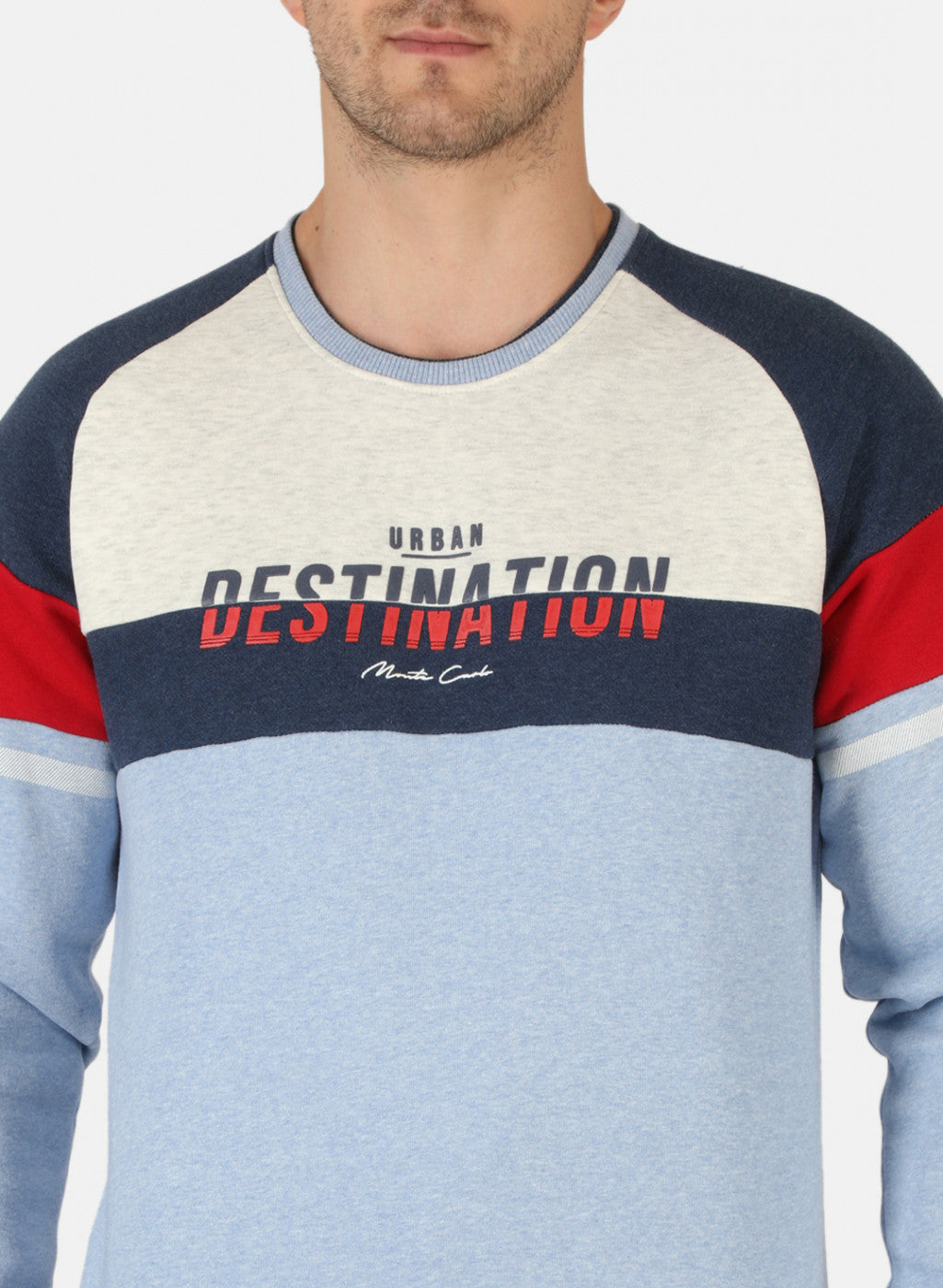 Men Blue Printed Sweatshirt