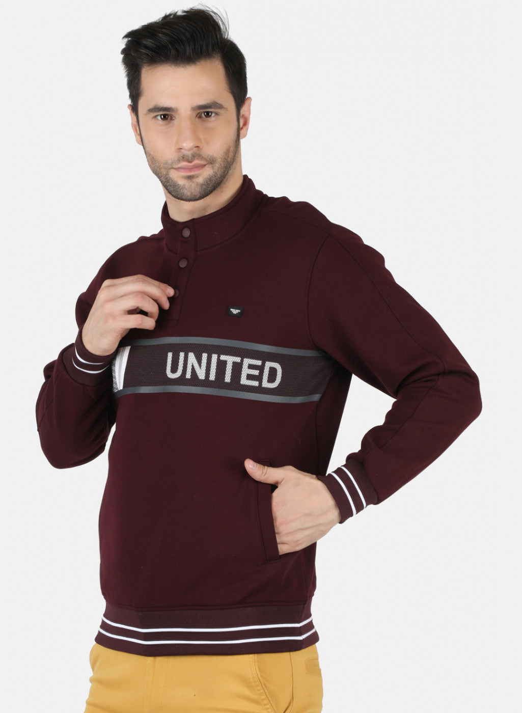 Men Purple Solid Sweatshirt