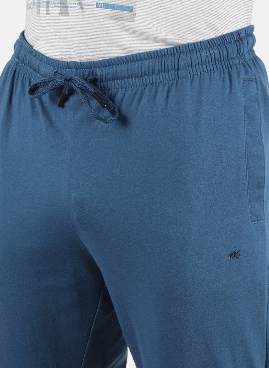 Men Blue Plain Lower