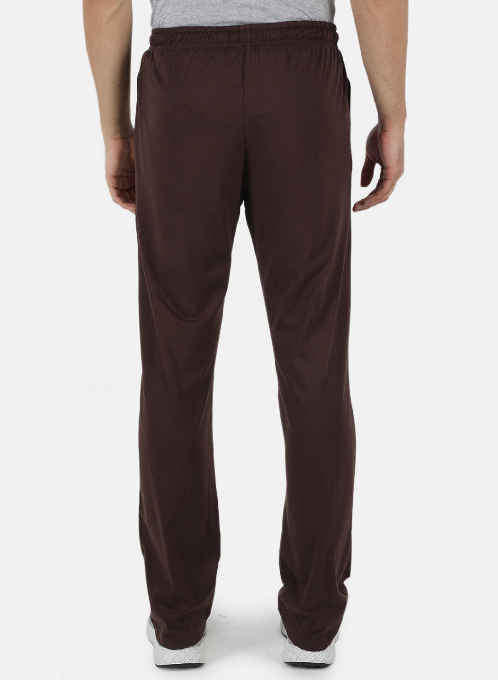 Men Brown Regular Fit Lower