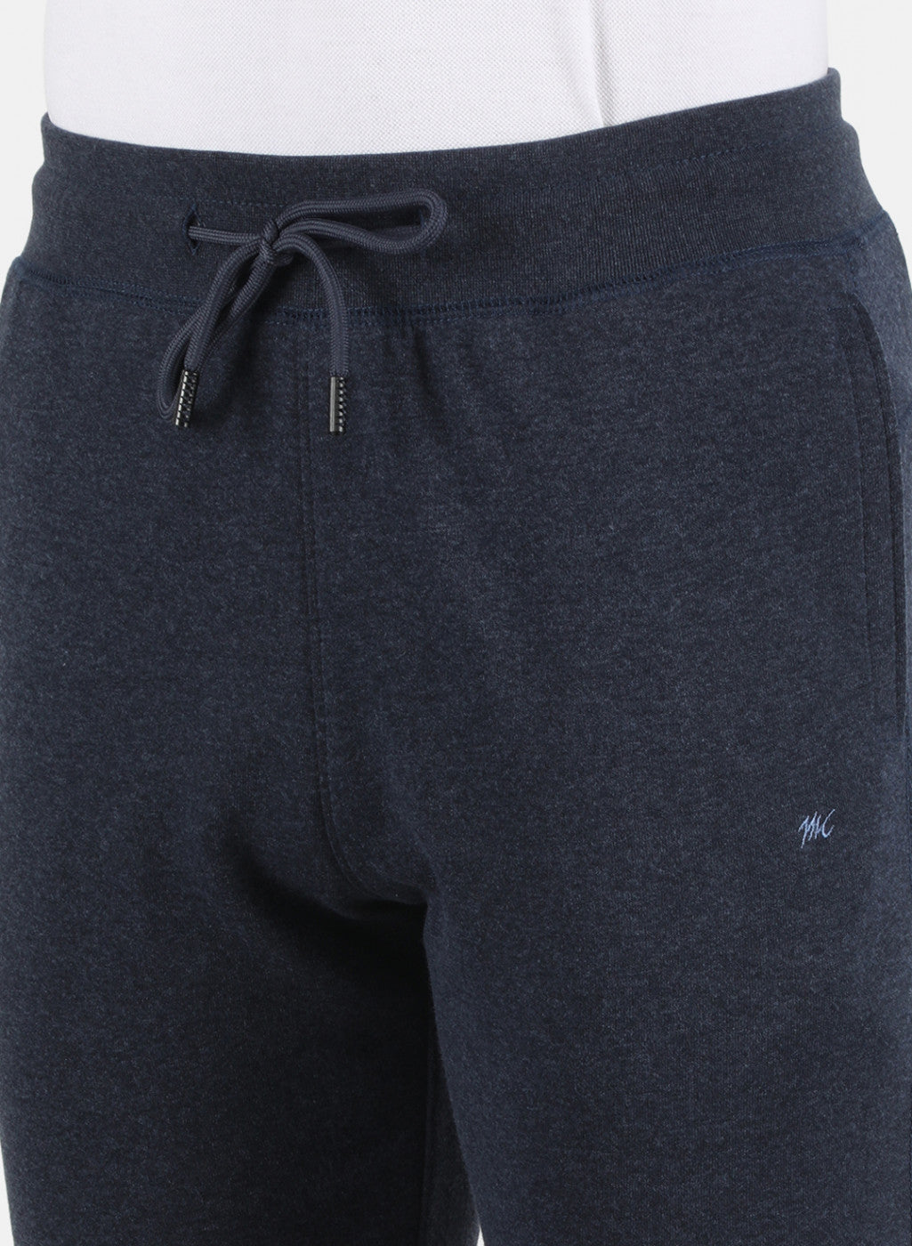 Men Blue Plain Lower