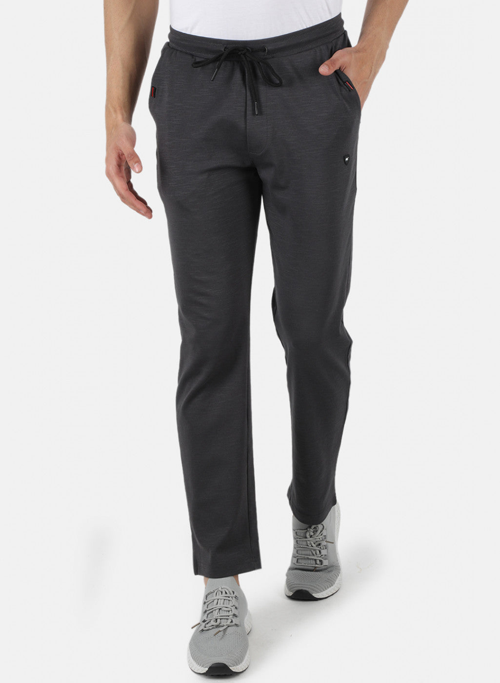 Men Grey Regular Fit Lower