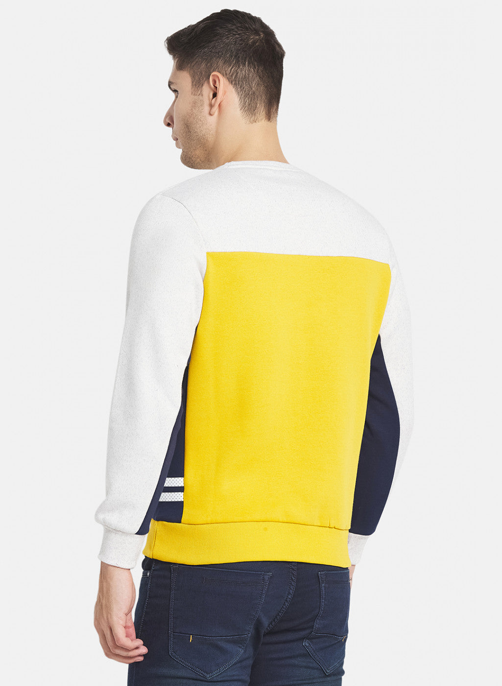 Men Yellow Cut & Sew with Printed Sweatshirt