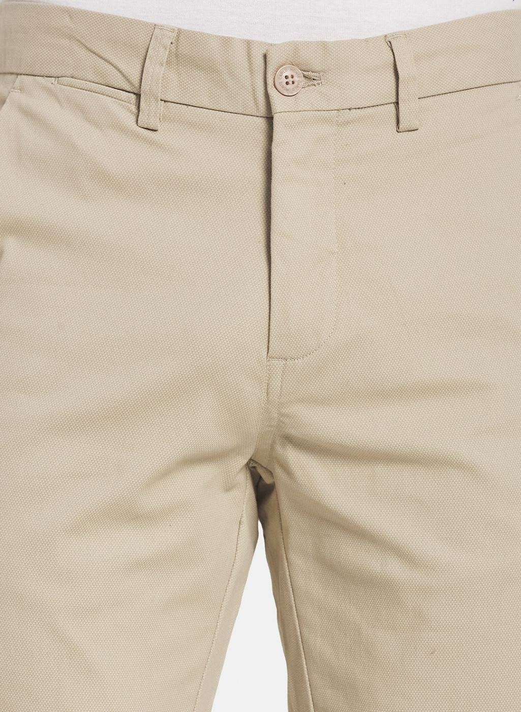 Men Beige Smart Fit Trouser