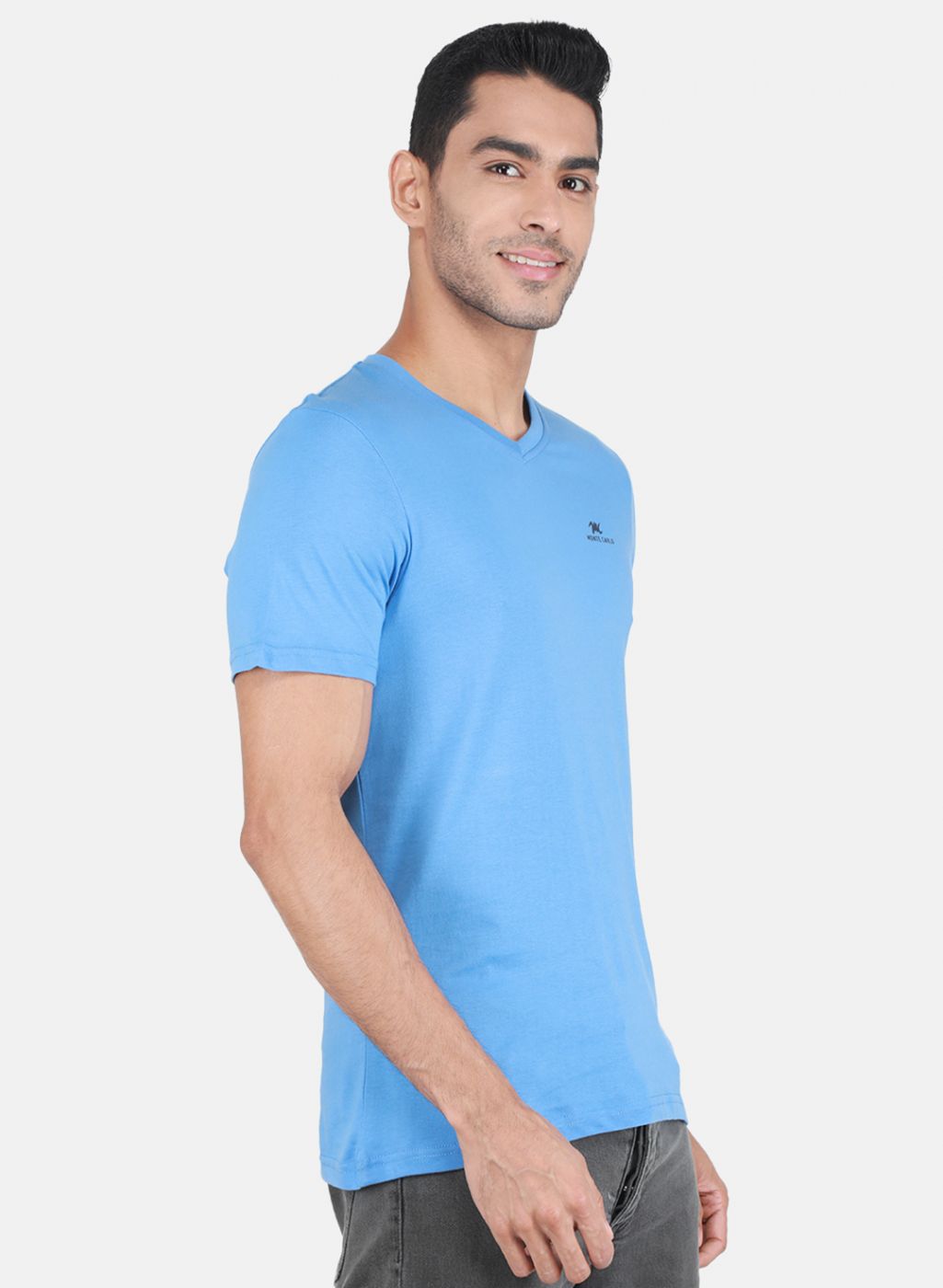 Men Multicolor Solid T-Shirt