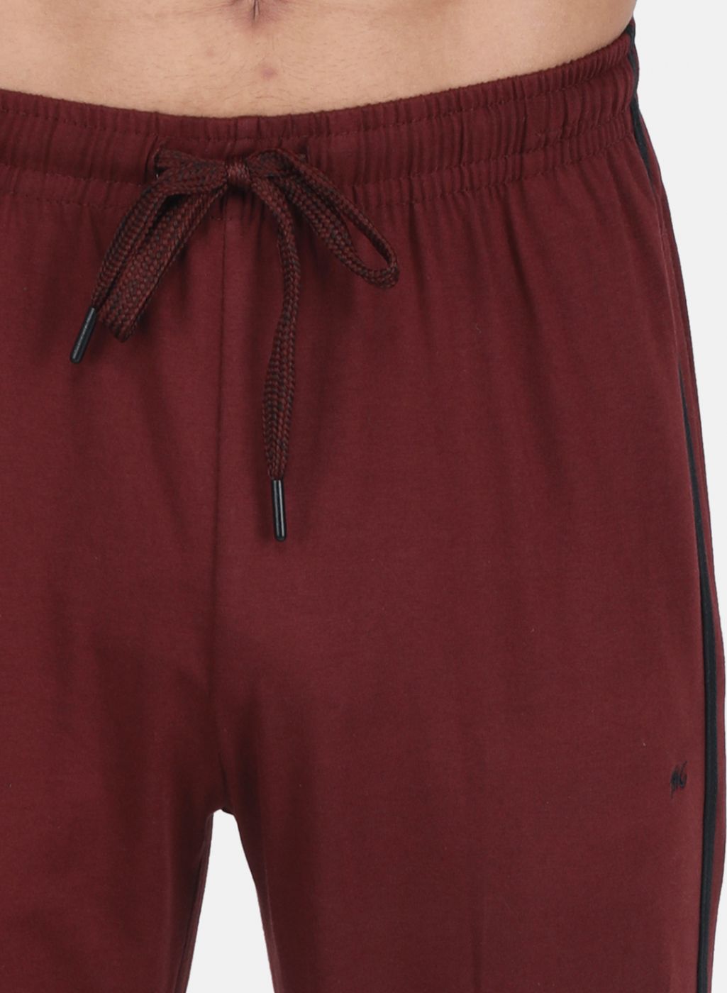 Men Maroon Regular Fit Lower