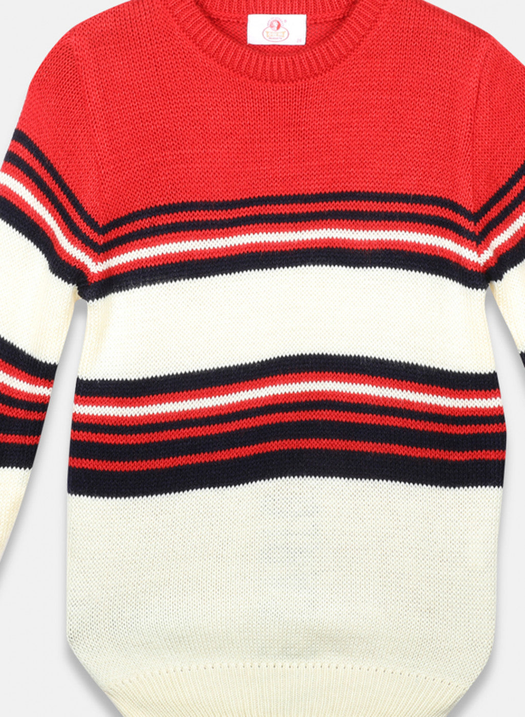 Oswal Multi Color Boys Pullover