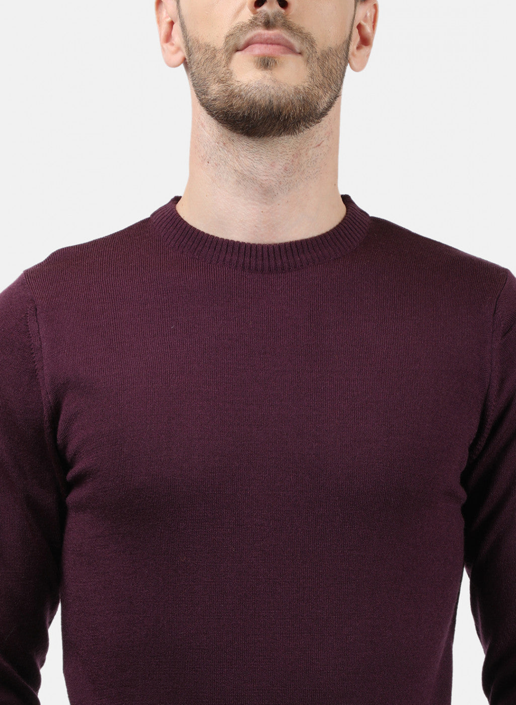 Men Purple Solid Pullover