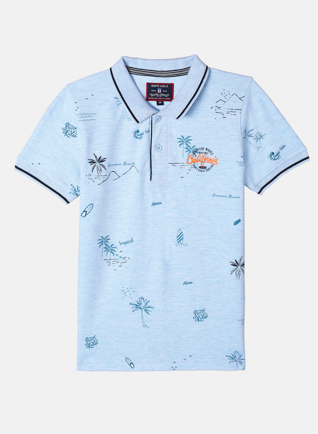 Boys Sky Blue Printed T-Shirt