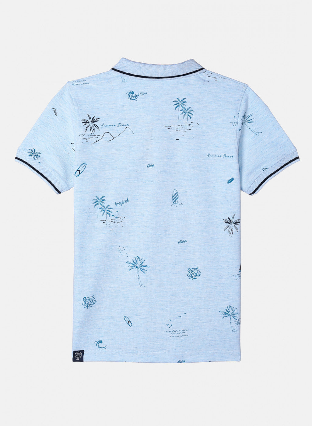 Boys Sky Blue Printed T-Shirt