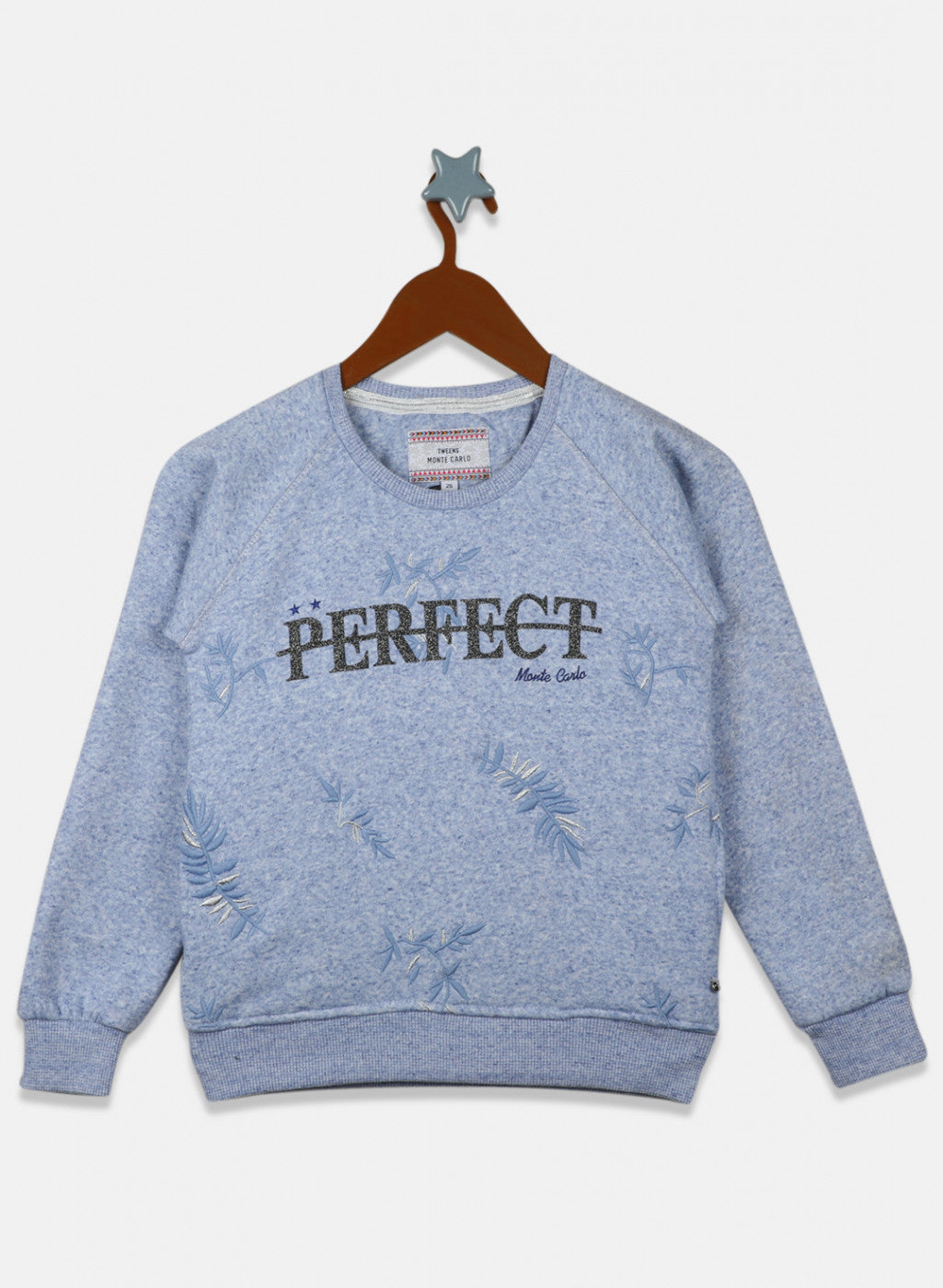 Girls Sky Blue Embroidered Sweatshirt