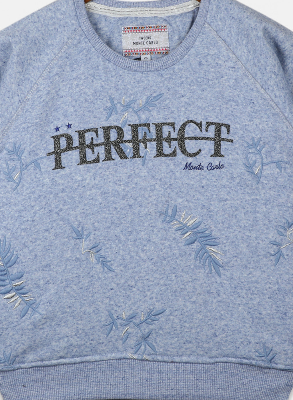 Girls Sky Blue Embroidered Sweatshirt