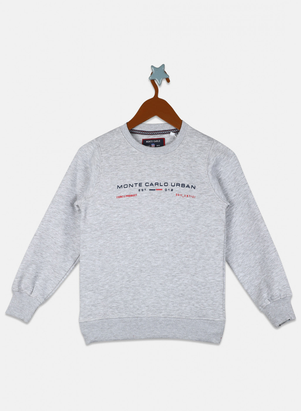 Boys Grey Printed Sweatshirt