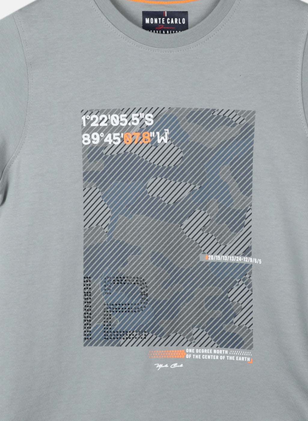 Boys Grey Printed T-Shirt