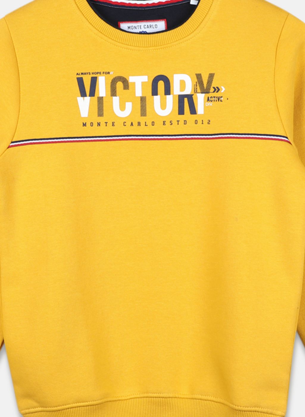 Boys Mustard Printed Sweatshirt