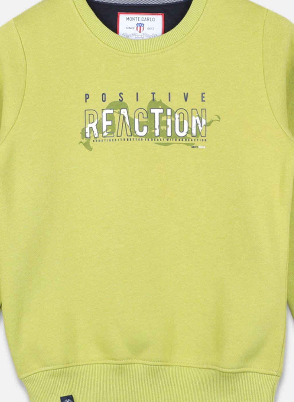 Boys Green Printed Sweatshirt