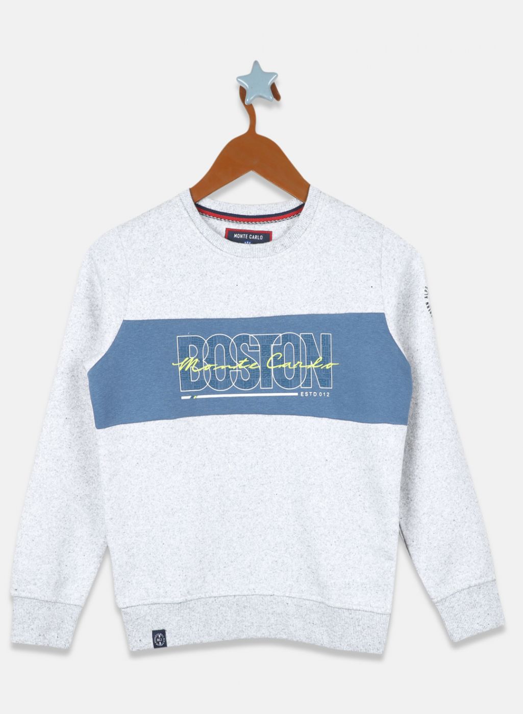 Boys Grey Printed Sweatshirt