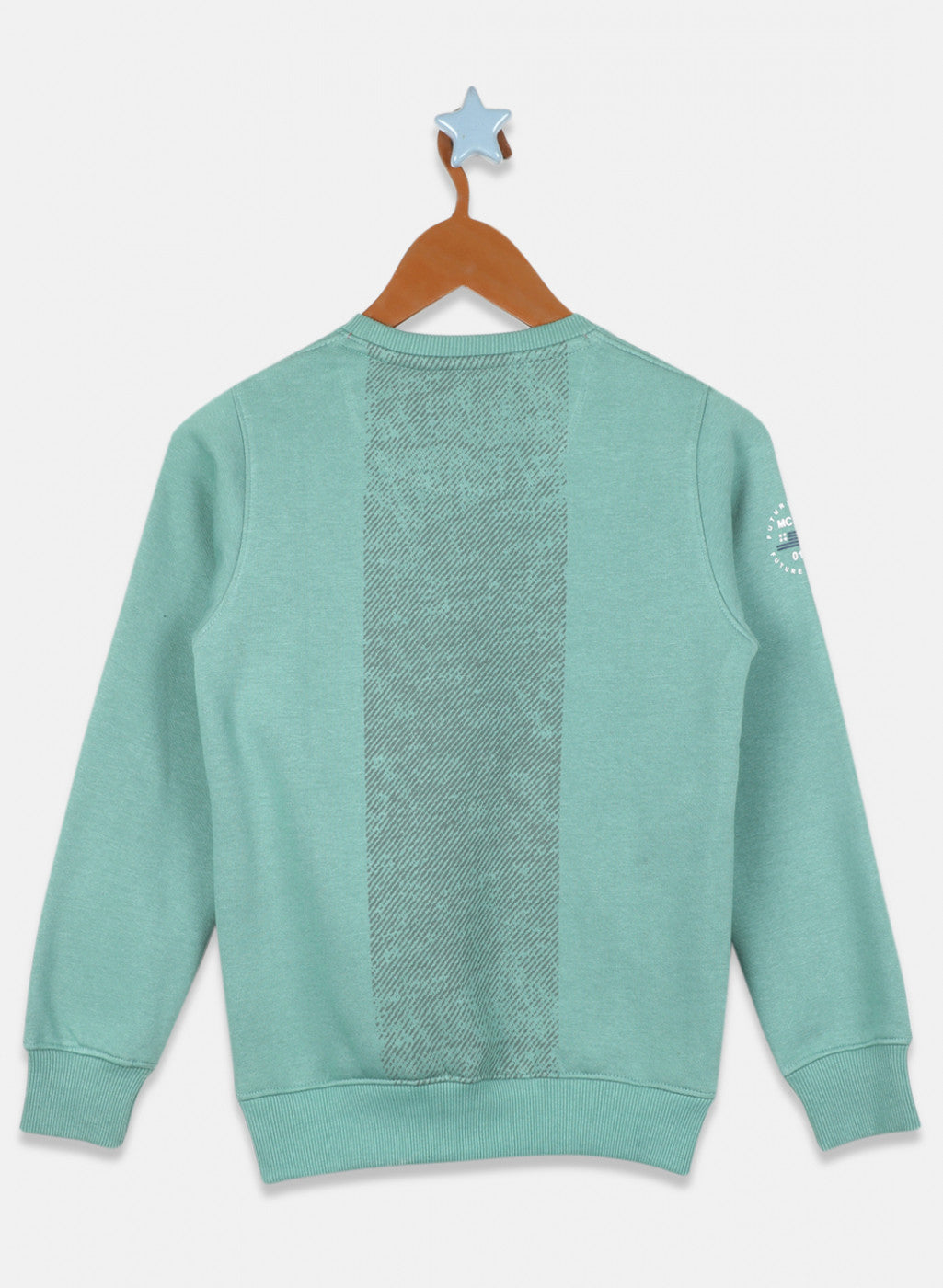 Boys Light Green Printed Sweatshirt