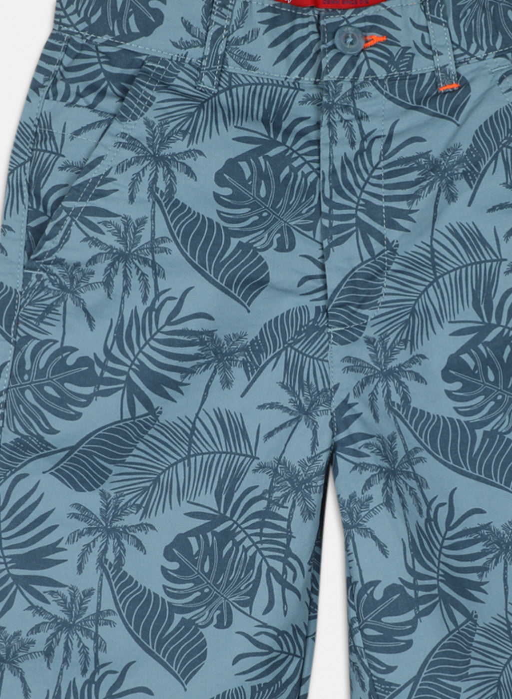 Boys Blue Printed Short