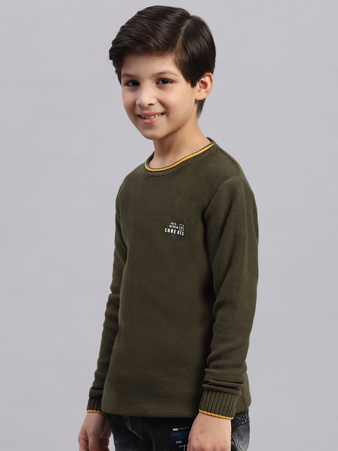 Boys Olive Solid Round Neck Full Sleeve Sweater