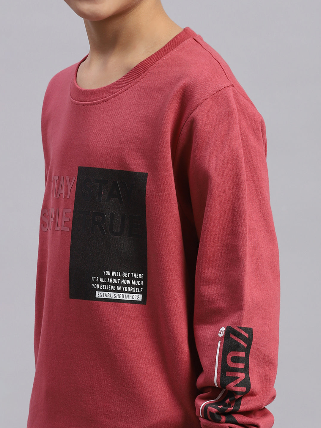 Boys Pink Printed Round Neck Full Sleeve Sweatshirt