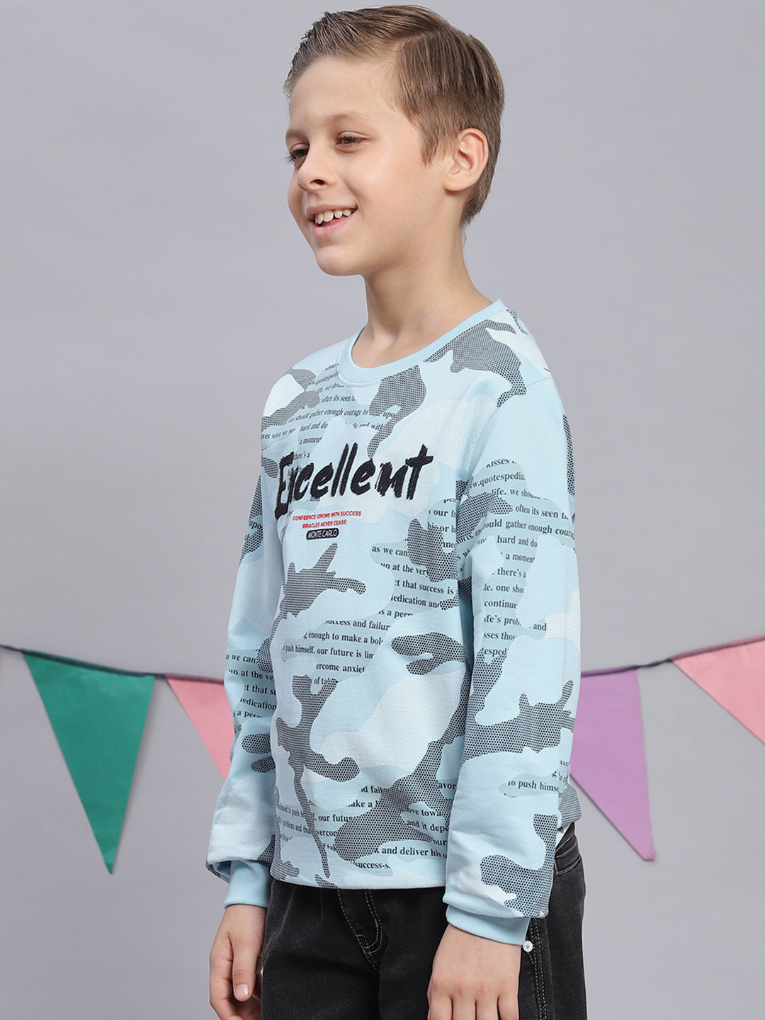 Boys Blue Printed Round Neck Full Sleeve Sweatshirt