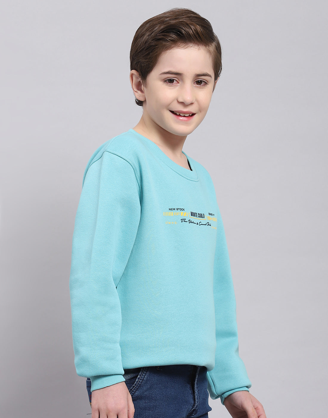 Boys Blue Printed Round Neck Full Sleeve Sweatshirt