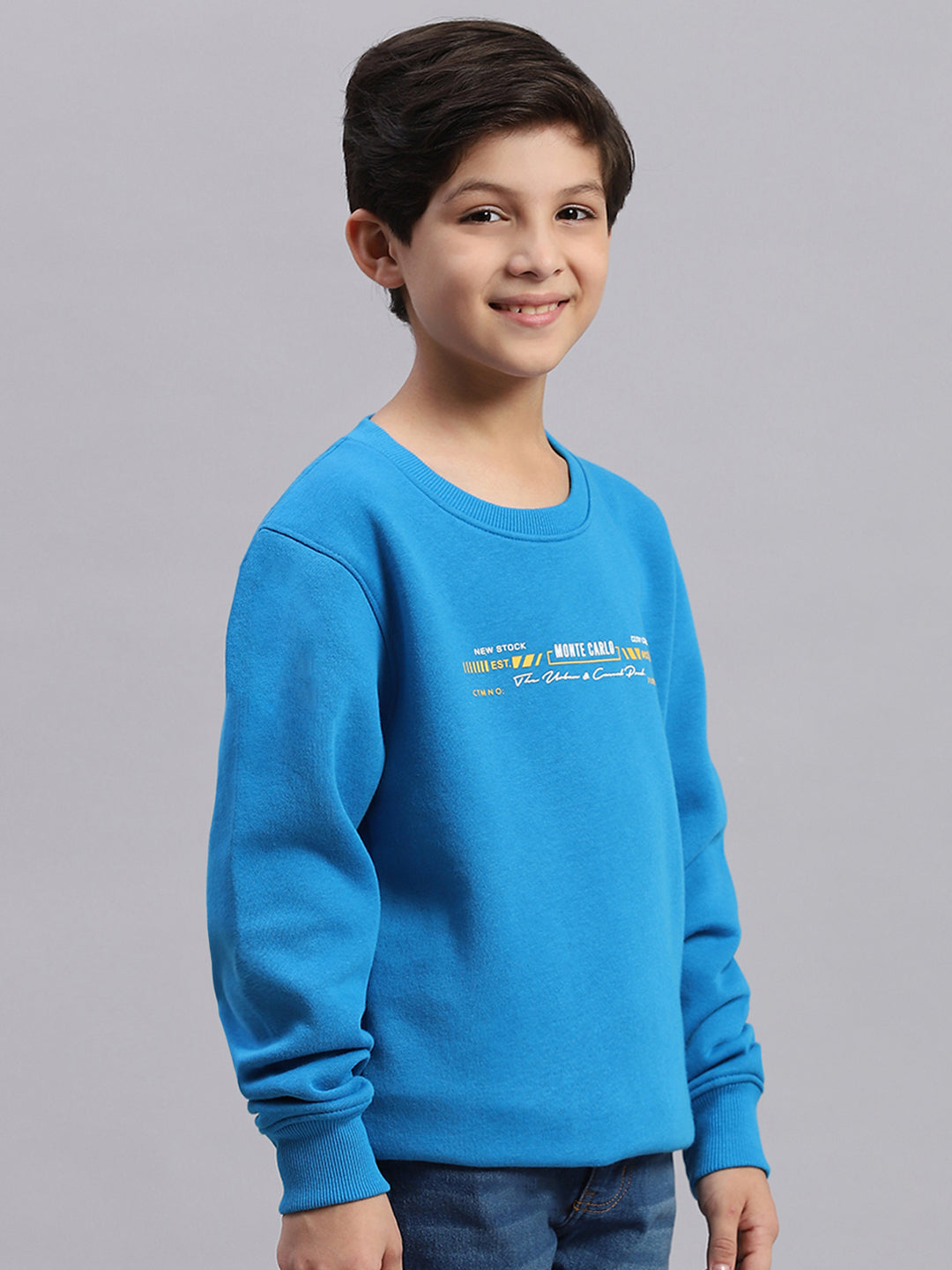 Boys Blue Printed Round Neck Full Sleeve Sweatshirt