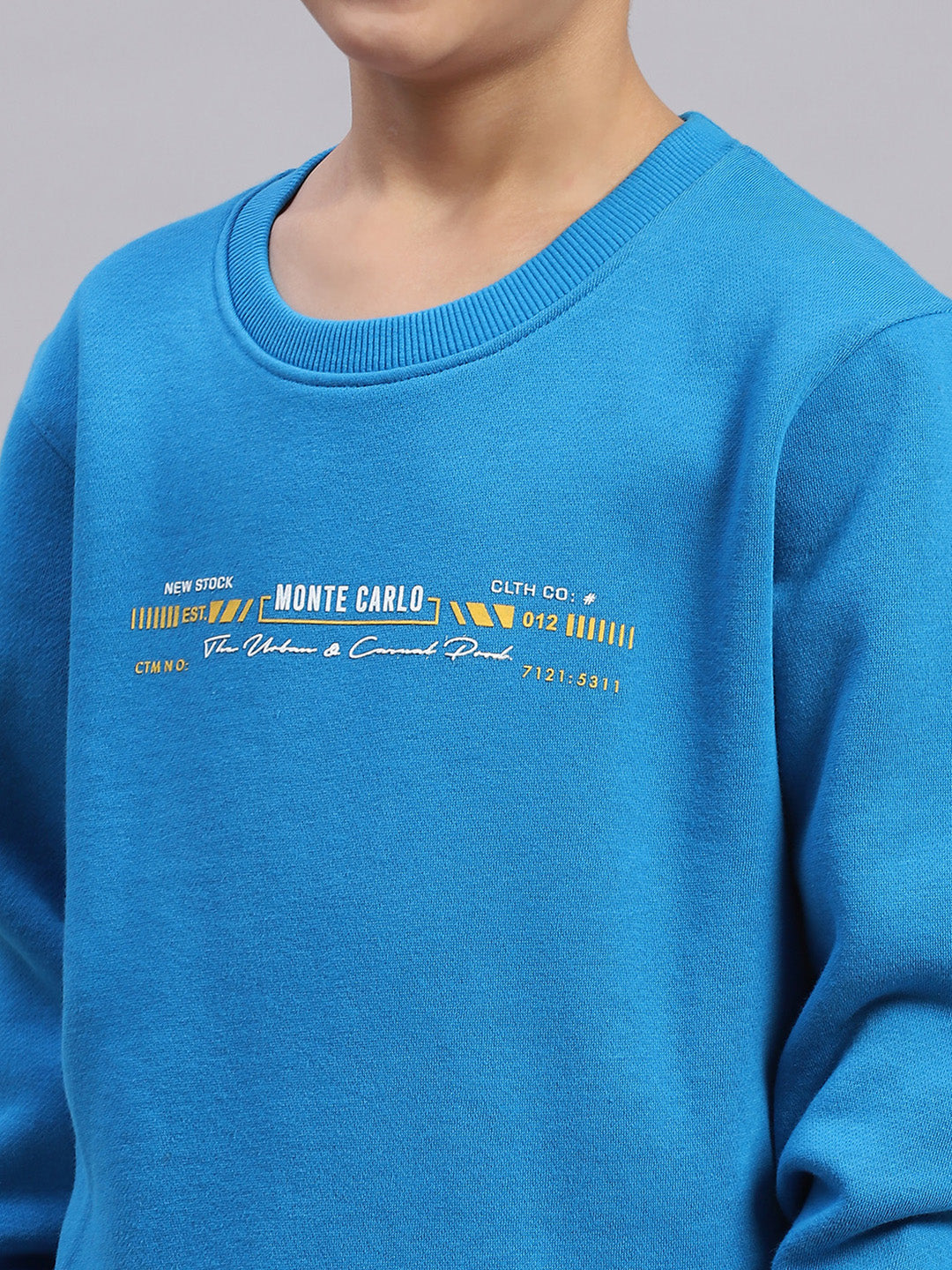 Boys Blue Printed Round Neck Full Sleeve Sweatshirt