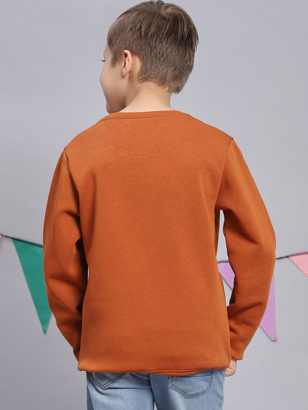 Boys Brown Printed Round Neck Full Sleeve Sweatshirt