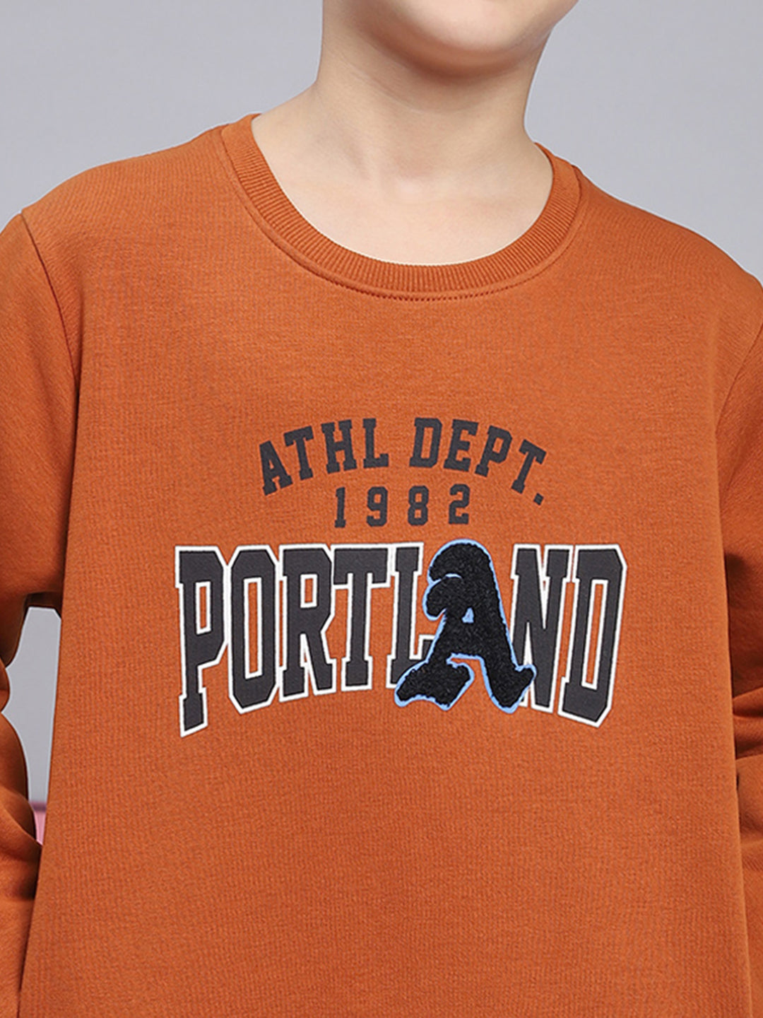 Boys Brown Printed Round Neck Full Sleeve Sweatshirt