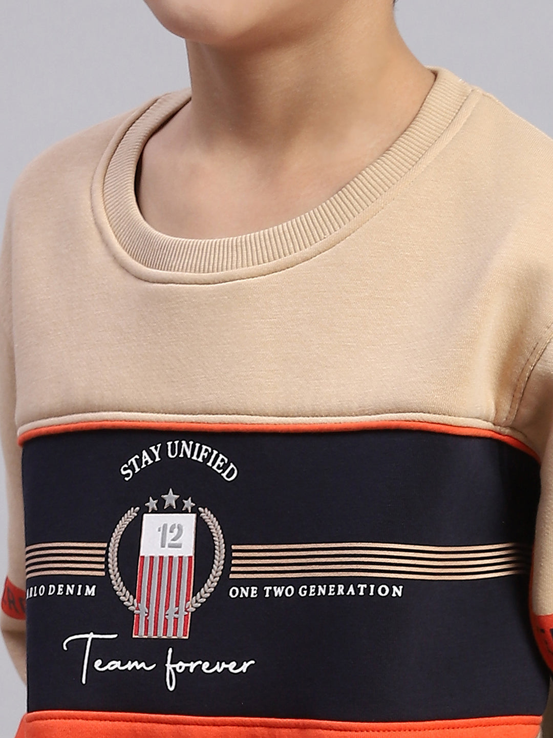 Boys Beige Printed Round Neck Full Sleeve Sweatshirt