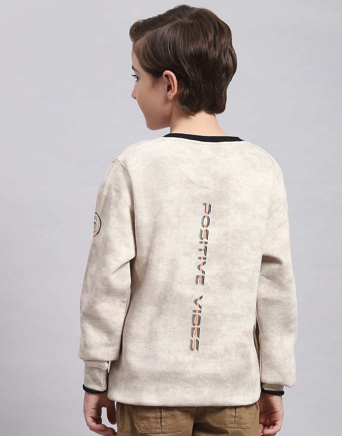 Boys Beige Printed Round Neck Full Sleeve Sweatshirt