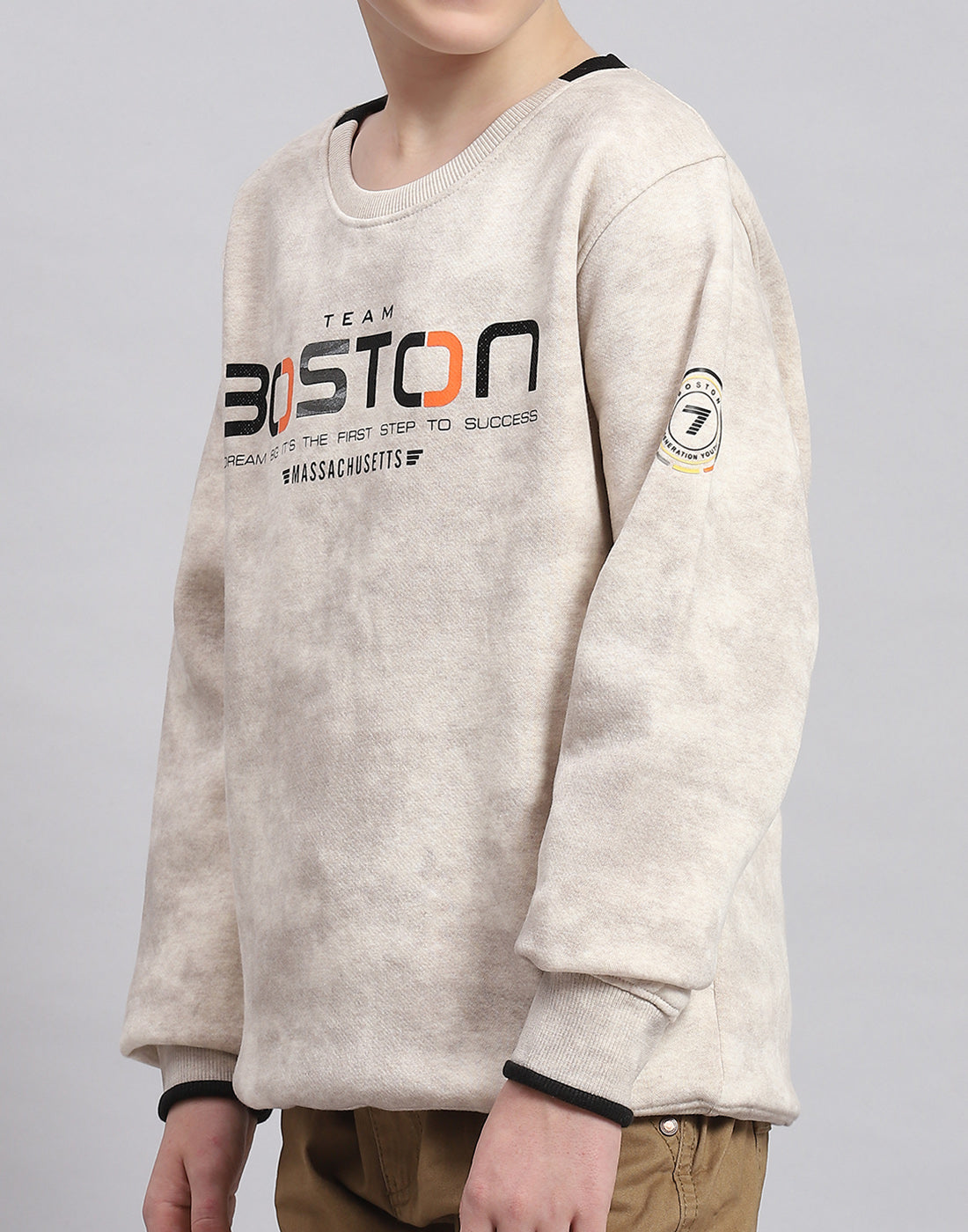 Boys Beige Printed Round Neck Full Sleeve Sweatshirt