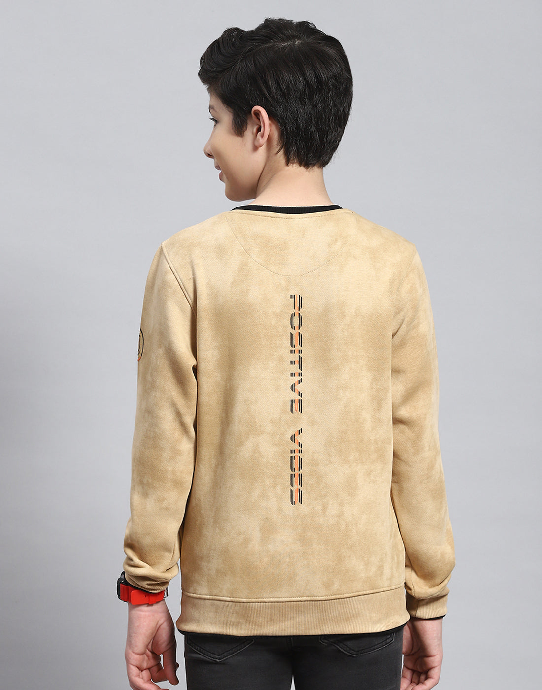 Boys Beige Printed Round Neck Full Sleeve Sweatshirt