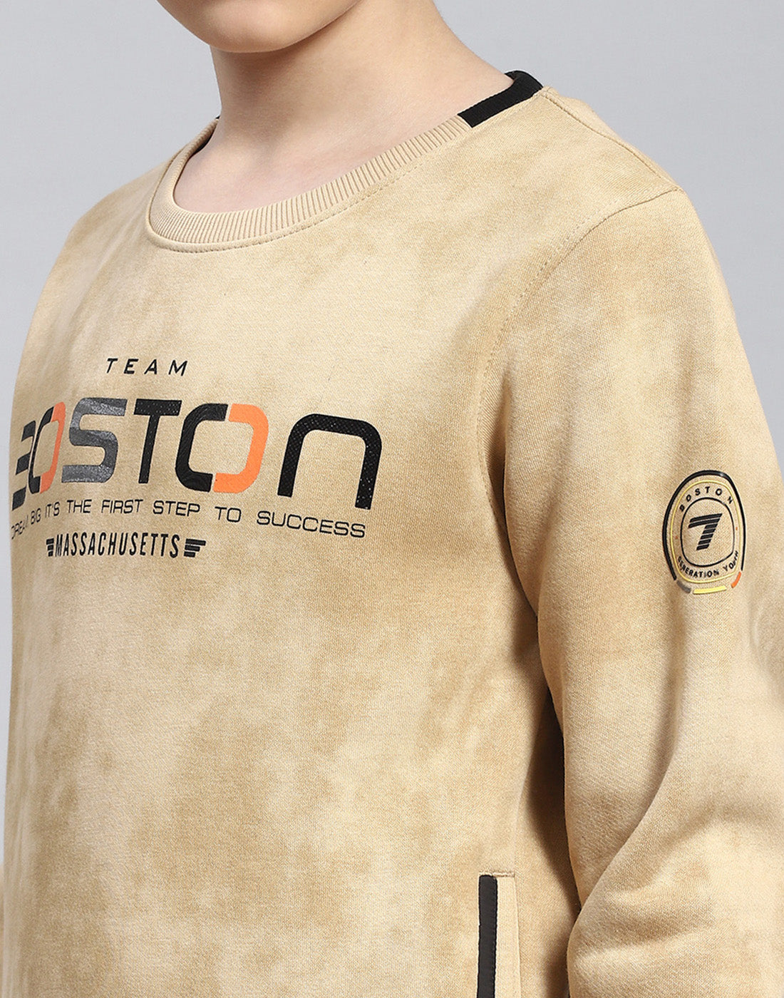 Boys Beige Printed Round Neck Full Sleeve Sweatshirt