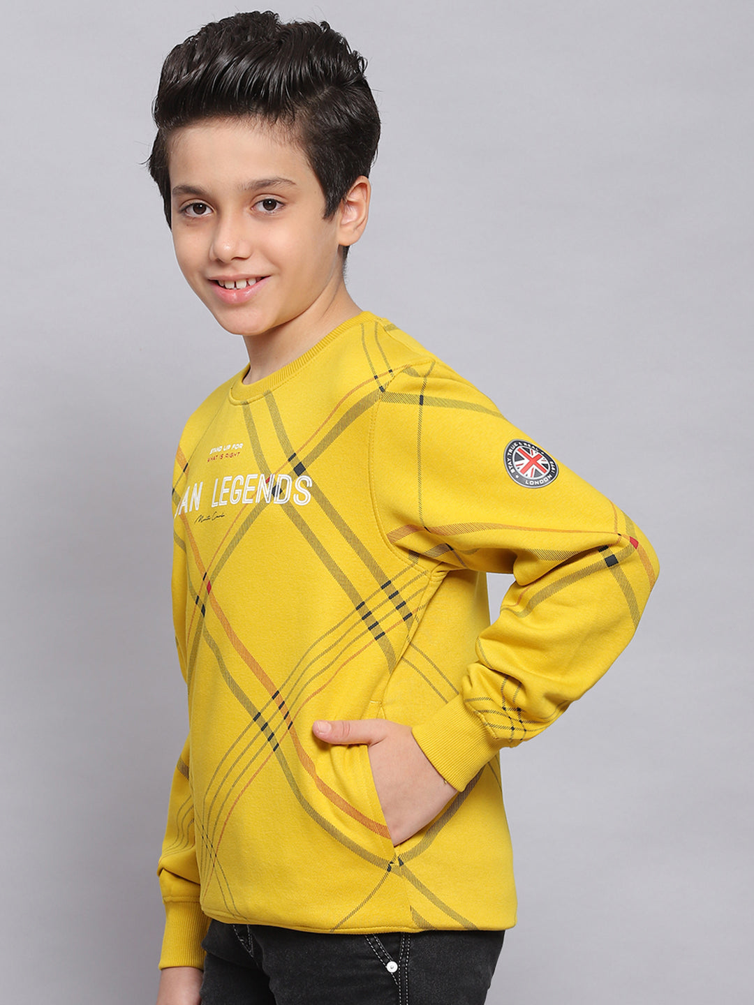 Boys Yellow Printed Round Neck Full Sleeve Sweatshirt