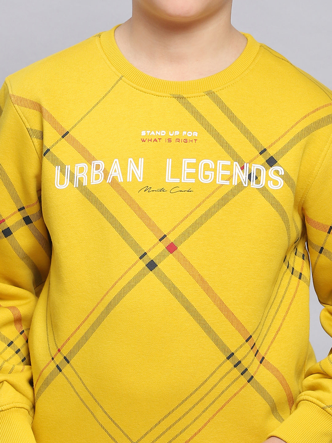 Boys Yellow Printed Round Neck Full Sleeve Sweatshirt