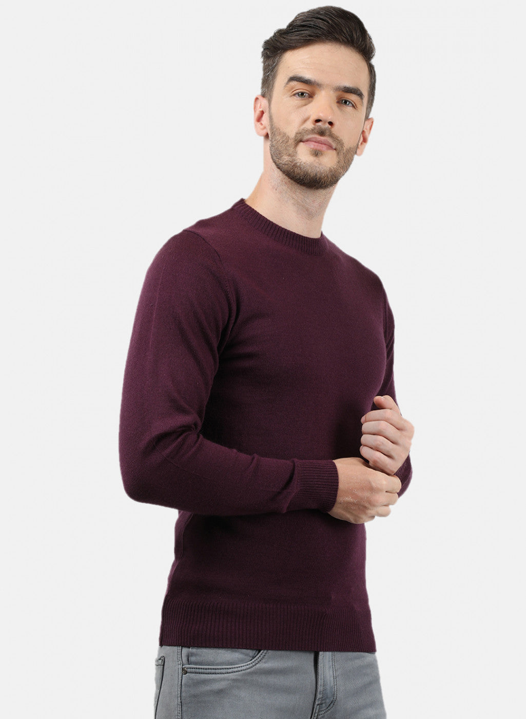 Men Purple Solid Pullover